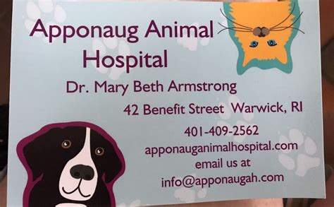 Apponaug animal hospital. Things To Know About Apponaug animal hospital. 