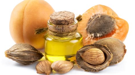 Apricot kernel itu apa.  Also, read uses and side effects.  [1][2] The kerne...