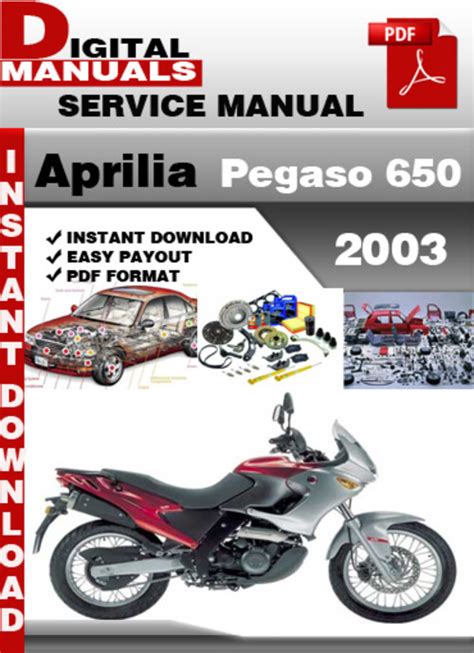 Aprilia pegaso 650 2003 repair service manual. - Responsabilità penale e rischio nelle attività mediche e d'impresa.