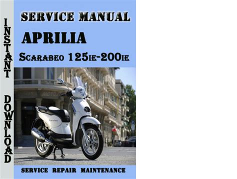 Aprilia scarabeo 125ie 200ie 2010 service repair manual. - Walther tech manual download glock agi.