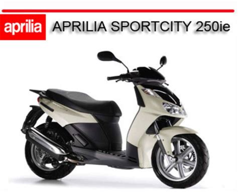 Aprilia sportcity 250ie bike repair service manual. - 2002 sportster 1200 custom repair manual.