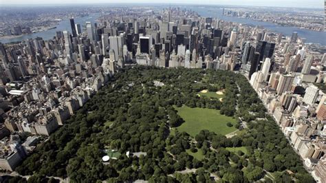 Apuñalan a un perro en el Central Park de Nueva York tras una “disputa verbal” entre dos dueños, dice la Policía