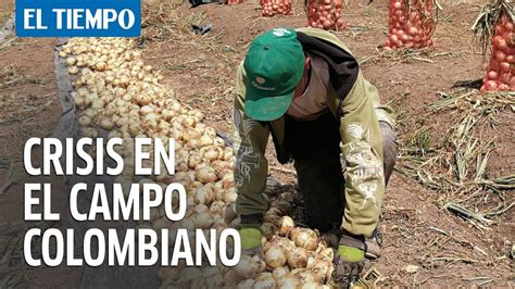 Apuntes sobre la crisis del campo colombiano. - Volvo ec55c compact excavator service repair manual.