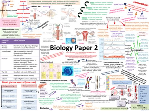 Aqa biology paper 2 foundation 2020.  Organisation 3.  Structured revision to ...