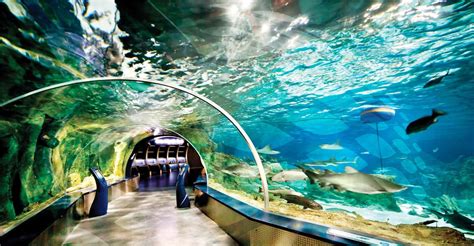 Aqua Florya D&R Mağazası Şikayetvar. 