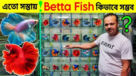 Aqua fish bd.  3 Days Return.  They provide genuine products with a minimum cost.  1,...