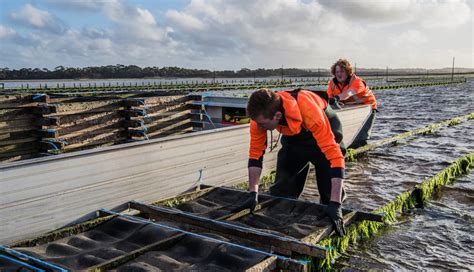 Aquaculture Technology And Environment