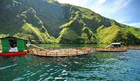 Aquafarm Sebaiknya Angkat Kaki dari Danau Toba Tagar