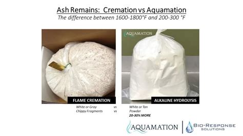 Aquamation bones.  Learn how cremation works, including aquamation vs.  Ashes ...