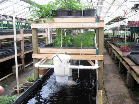Aquaponics a beginner s guide to create your own amazing aquaponic system. - How to restore fiberglass bodywork osprey restoration guide 3.