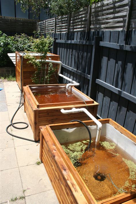 Aquaponics system a practical guide to building maintaining your own backyard aquaponics. - Math triumphs grade 6 student study guide book 1 number and operations math intervention k 5.