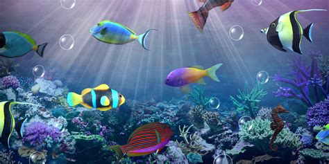 Aquarium Party - Apps on Google Play