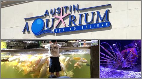 Aquarium austin tx. Texas. 7 Best Aquariums in Texas. by. Madison Davis. Last updated on July 10, 2019. Experience how undersea animals live when you visit one of the best … 