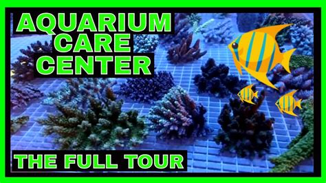Aquarium care center. Things To Know About Aquarium care center. 
