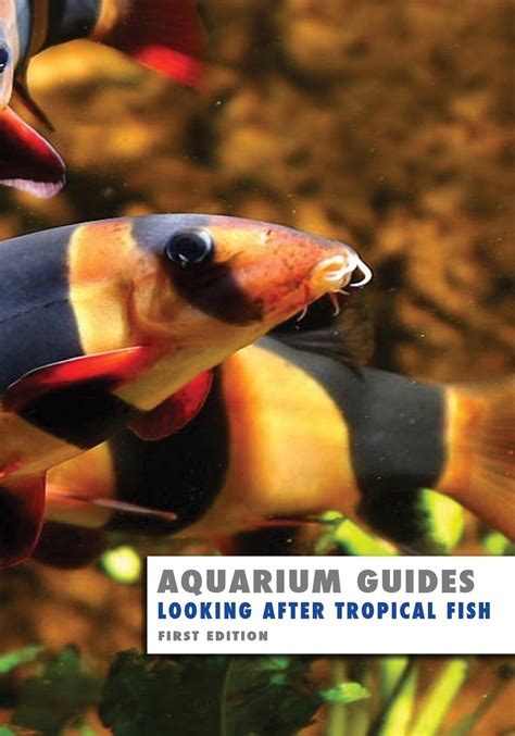 Aquarium guides looking after tropical fish second edition volume 1. - Yamaha fz750 1984 manuale di servizio tedesco.