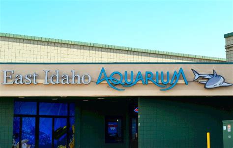 Aquarium idaho falls. Things To Know About Aquarium idaho falls. 