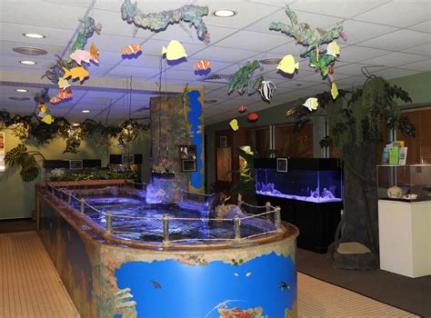 Aquarium jenkinsons. Things To Know About Aquarium jenkinsons. 