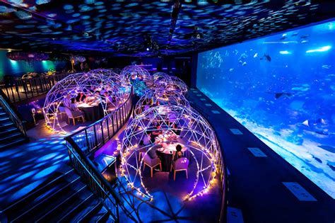 Aquarium restaurants. Sep 25, 2023 · Dive into food and fun at the Aquarium Restaurant, located in the Opry Mills Mall! Your underwater adventure begins as you are seated around a 200,000-gallon aquarium tank, home to a wide variety of fish, sharks, stingrays and more! 