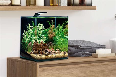 Aquarium verlichting kopen? .HORNBACH. Laagste Prijsgarantie