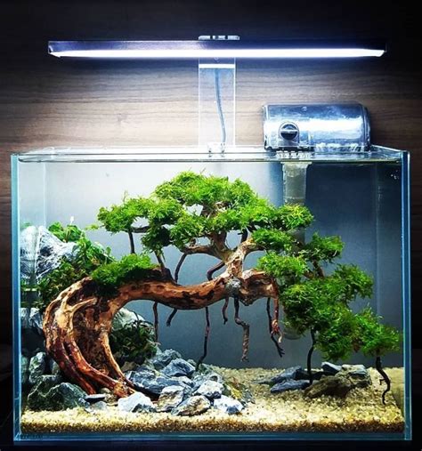 Aquascaping aquarium landscaping like a pro aquarist s guide to planted tank aesthetics and design. - Manual for john deere 1972 140.