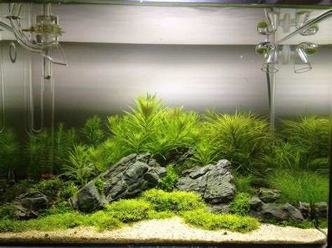 Aquascaping aquarium landscaping like a pro aquarists guide to planted tank aesthetics and design. - Manuelle harley davidson road king classic.