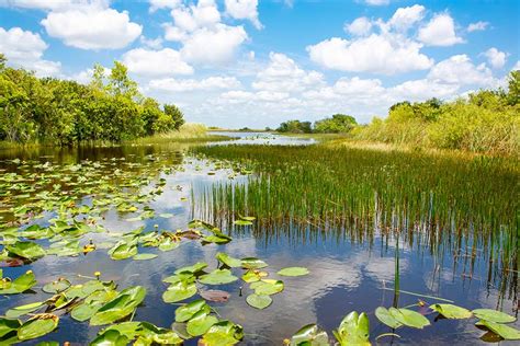 Aquatic Native Species and Habitat Restoration: Custodial …