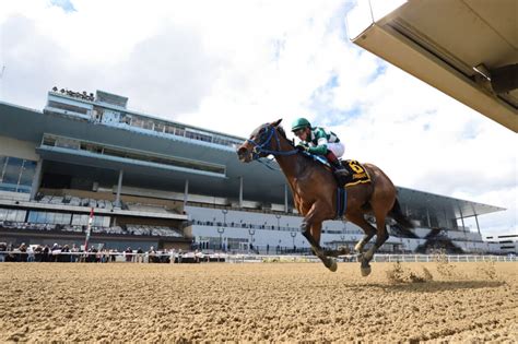 Apr 24, 2022 · Race Days. Select a Race: Select the Date you would like to view. Once you select the Date, select the Race you would like to view by clicking the Race number. Download Full-Day Chart. View results for races run at Aqueduct Racetrack.. 