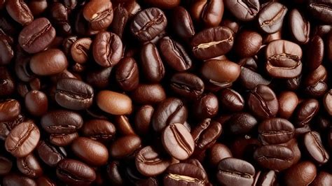 Arabica Onlyfans Leak