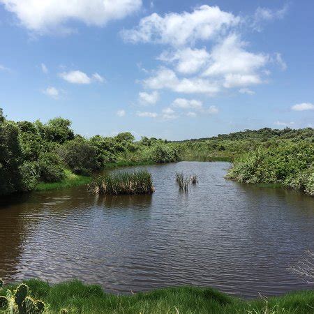 Aransas National Wildlife Refuge Austwell TX