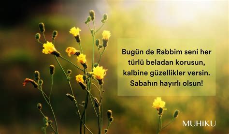 Arapça'da hayırlı sabahlar; Zarif Arapça Facebook. 