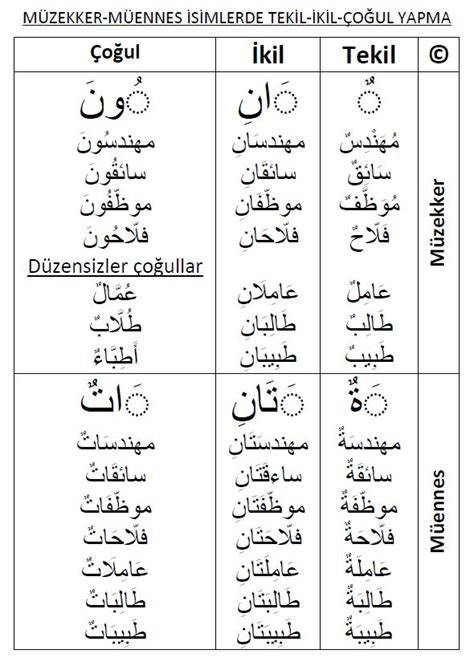 Arapça tekil çoğul sözlük