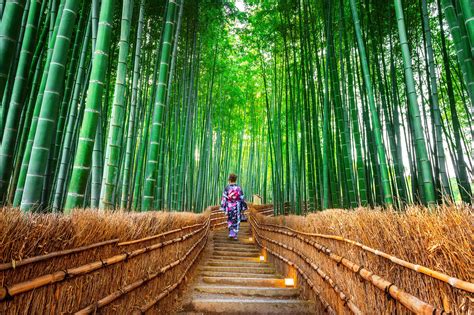 Arashiyama, Kyoto - Ichigo Guide