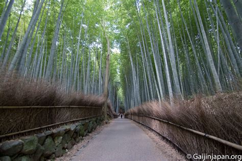 Arashiyama, la forêt de bambous et ses jardins - Projet Japon