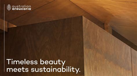 Araucaria timber. .  <a href=https://staging-statamic.stillstream.ai/assets/images/hx91/inde...