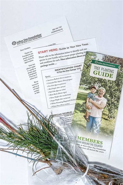 Arborday.org tree survey. The Tree Guide. Whether you’re deciding on a tree to plant in your yard or looking for more information about one you already have, you’ve come to the right place. This tree guide is a wealth of information on height and spread, soil and sun requirements, leaves, history, wildlife habitat and more. Search for trees. 