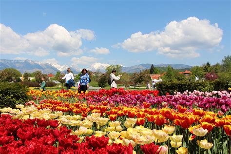 Arboretum, Volčji Potok 3, Radomlje, Phone +386 1 831 23 45, …