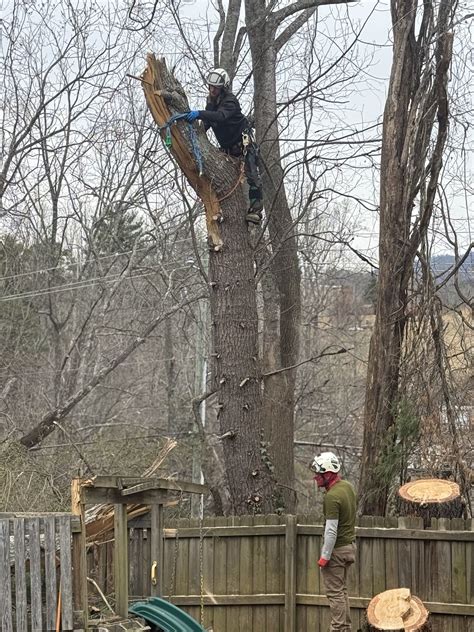 Arbory trust photos.  Specialties: Arbory Tree Services makes tree remo...