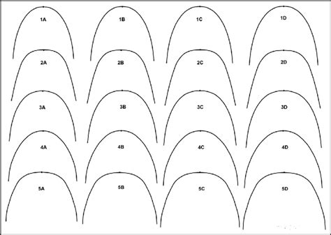 Arch form template used in the study. Download Scientific Diagram