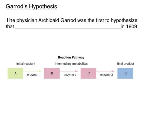 Archibald garrod experiment