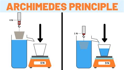 Archimedes Principle Explained YouTube