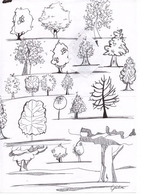 Architecture Drawing Trees on Behance