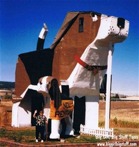 Architecture Gone to the Dogs Bit Rebels