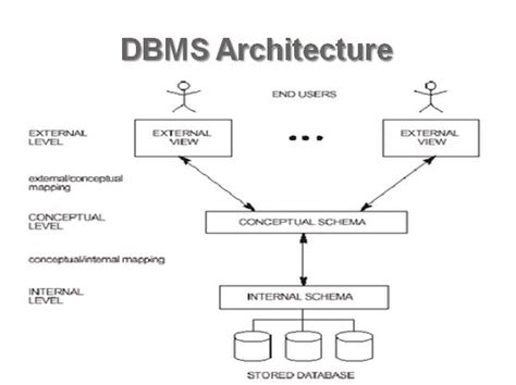 Architecture of dbms and explain each component.  Such wealth of resources allo...