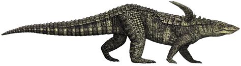 Archosaur Characteristics & Phylogeny Britannica