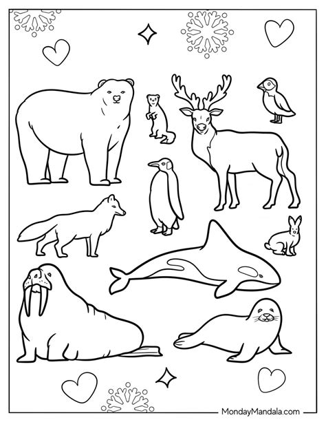 Arctic Animal Coloring Shee