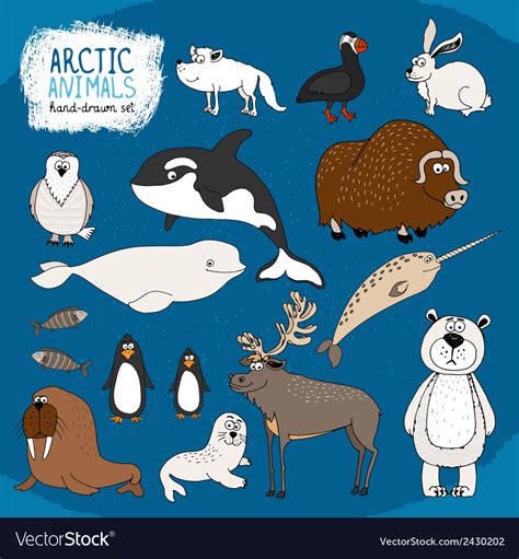 Arctic Animals Drawing