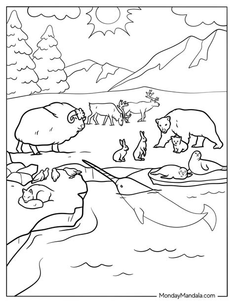 Free Anatomy Coloring Pages