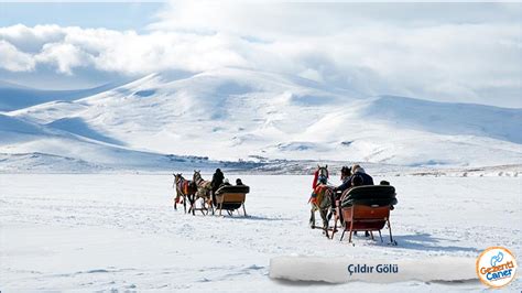 Ardahan Cildir terapi halı yıkama