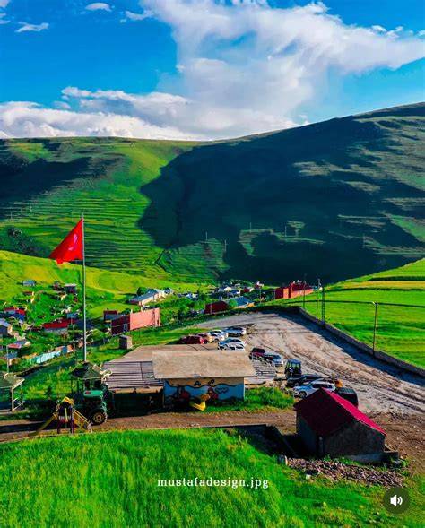 Ardahan Damal terapi halı yıkama