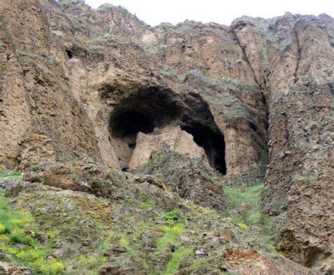 Ardahan En Yakin terapi halı yıkama